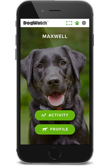 DogWatch of Central Georgia, Macon, Georgia | SmartFence WebApp Image