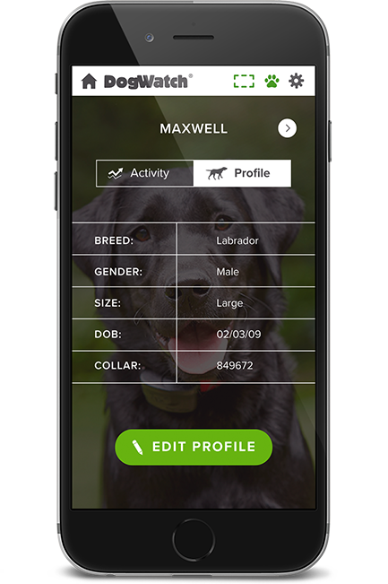 DogWatch of Central Georgia, Macon, Georgia | SmartFence WebApp Image