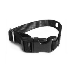 Replacement Cat Safety-Collar Image